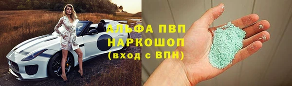 шишки Арсеньев