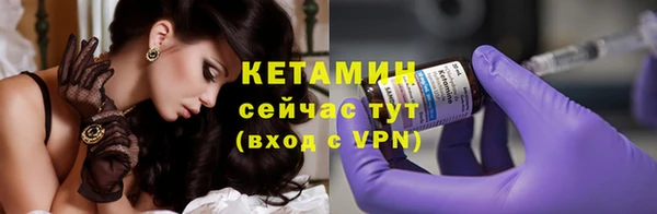 шишки Арсеньев