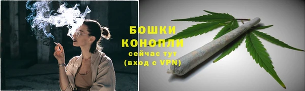 шишки Арсеньев
