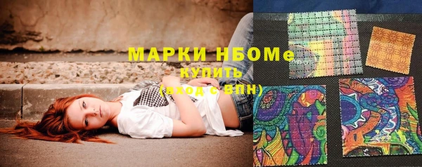 шишки Арсеньев