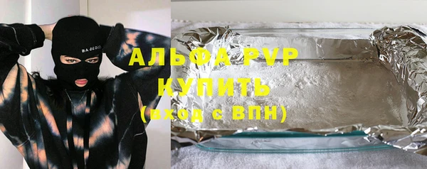 шишки Арсеньев