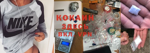 крисы Аркадак