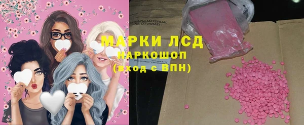 шишки Арсеньев