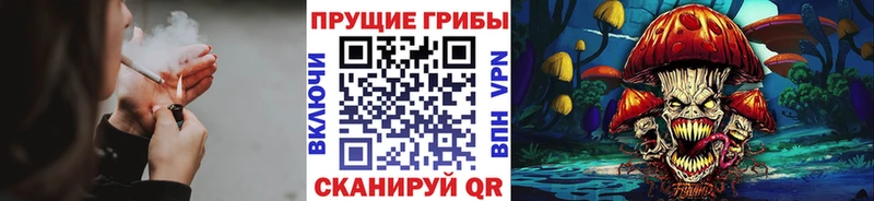 kraken онион  Сланцы  Галлюциногенные грибы прущие грибы 